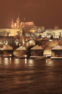 夜雪布拉格市与哥特式城堡捷克