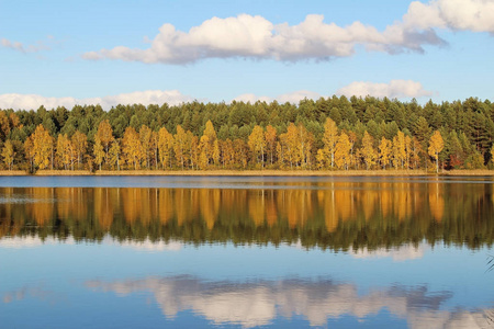 湖中令人愉快的秋天的树林在阳光明媚的日子。秋天的树木与反思。俄罗斯