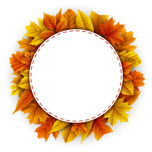 白色背景下的秋叶圆框
