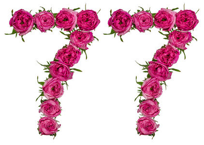 阿拉伯数字 77, 七十七, 从红色的玫瑰花, 孤立照片