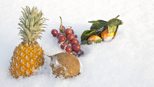 菠萝, 椰子, 葡萄和桔子在雪