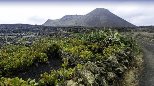 火山 La 日冕和葡萄谷兰萨罗特, 加那利群岛, 西班牙