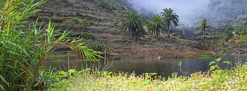 Embalse de Agulo 水库与棕榈树, Agulo, La 拉戈梅拉, 加那利群岛, 西班牙, 欧洲