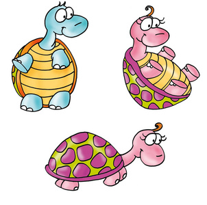 海龟 turtle的名词复数  任何种类的龟 陆龟 水龟