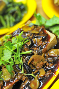 中国豆腐和蘑菇菜