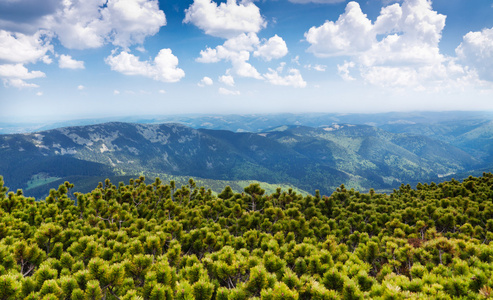 喀尔巴阡山。