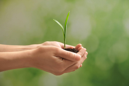 坚持治疗女人坚持绿苗与土壤模糊背景照片