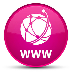 Www 全球网络图标 特殊的粉红色圆形按钮
