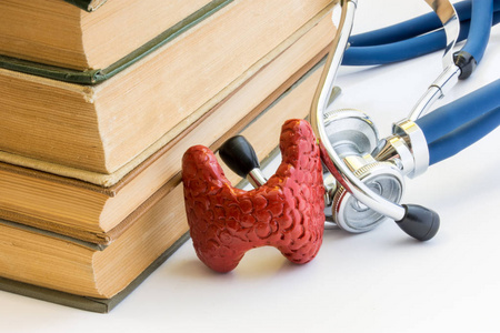 在听诊器的背景下, 甲状腺的形状位于一堆医学书籍的旁边.照片