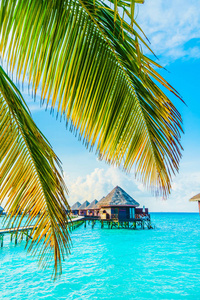 美丽的热带马尔代夫度假村酒店和岛屿与海滩和大海在假期度假背景概念的天空提振颜色处理