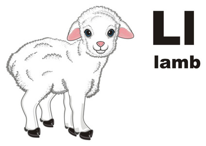 小羊羔和他的名字和字母 l可爱的小羊羔与绵羊在新