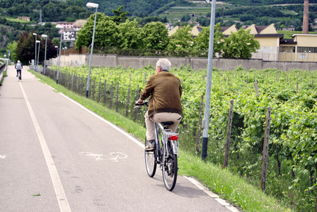 公路自行车