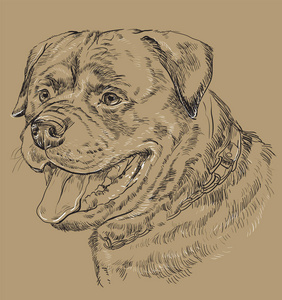 单色猎犬矢量手绘肖像
