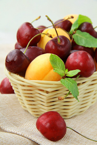 把成熟的浆果杏子和樱桃梅混合在柳条篮子里