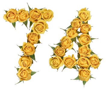 四从八德是什么阿拉伯数字 74, 七十四, 从黄色的玫瑰花, 是照片