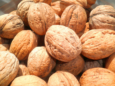 胡桃树 walnut的名词复数  胡桃木