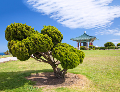 韩国友谊塔和公园钟