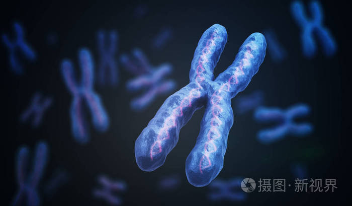 x 染色体与脱氧核糖核酸分子.遗传学概念.3d 渲染