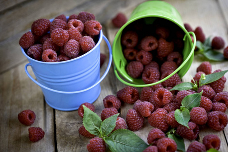 树莓是新鲜的在一个桶里