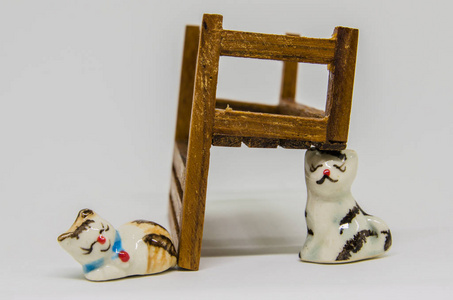 公园木凳上的猫瓷