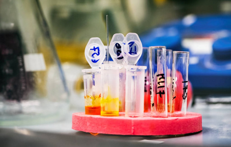 液体的离心管微型离心管微型离心管特写镜头的微量离心管研究人员的手