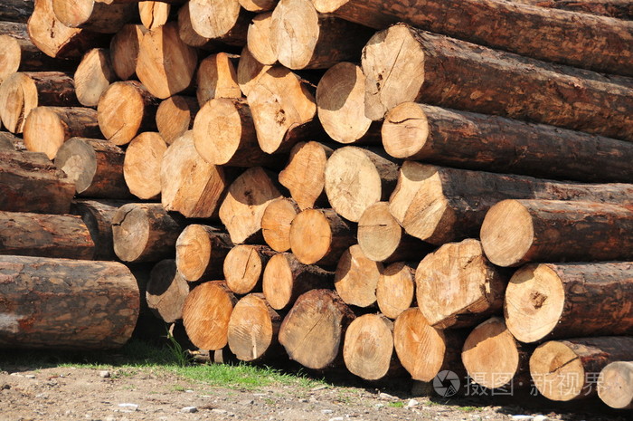 练习用球瓶原木木材木料log的名词复数航海飞行日志