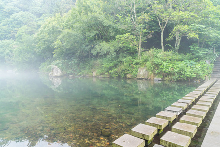 在济州岛天地渊瀑布公园花园图片