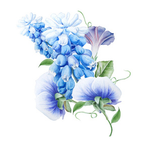 花风信子图片