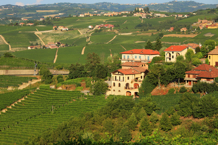 查看意大利北部的葡萄园。