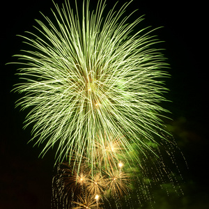 夜空中绚丽多彩的烟花