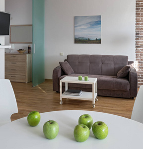 内部的斯堪的纳维亚风格的现代公寓