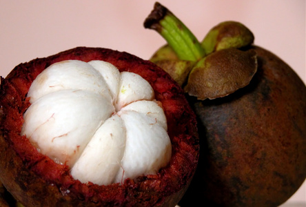 山竹果,倒捻子(原产于东南亚的一种水果) 山竹子照片