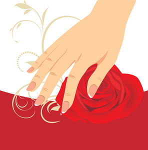 女性手和红玫瑰