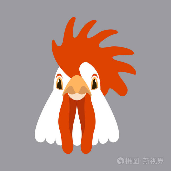 鸡头矢量插画扁式前