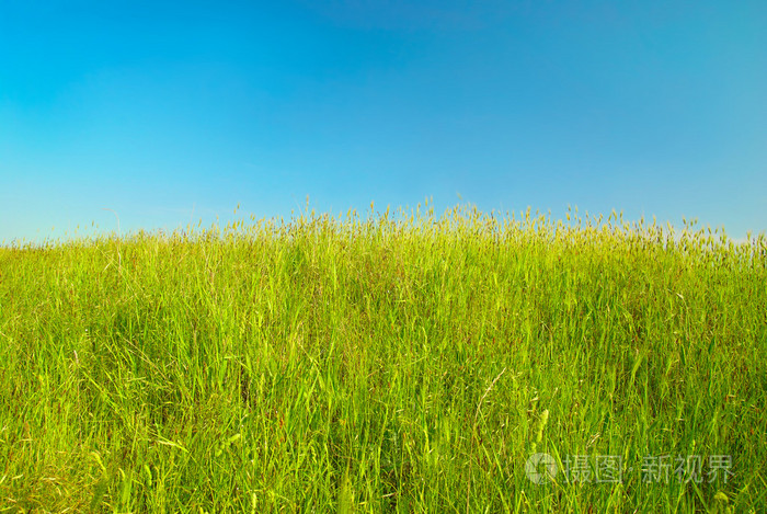 有云的绿色景观.