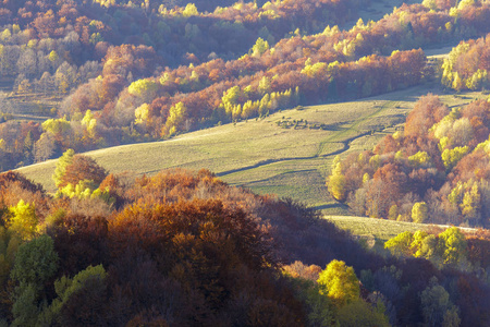 Bieszczady 山脉波兰喀尔巴阡山