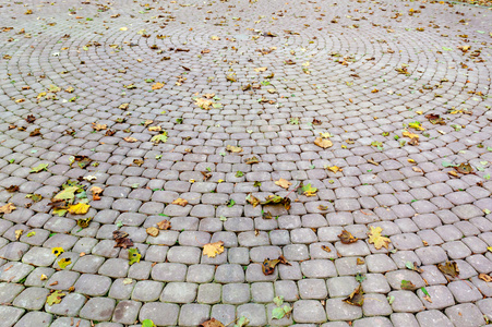 秋天的树叶铺成的人行道图片