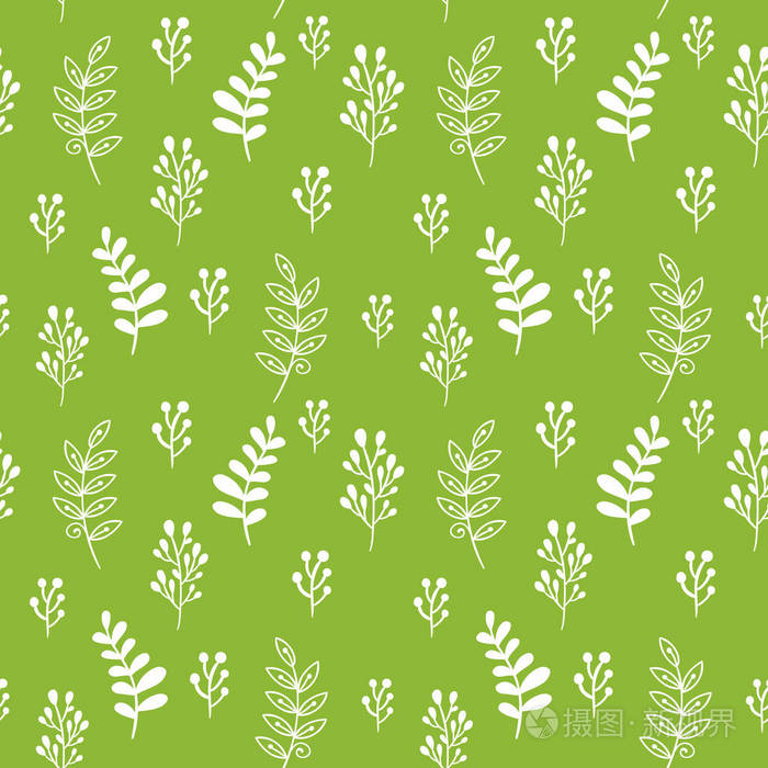 叶和草本的无缝向量模式.绿色和白色的颜色的甜植物背景.
