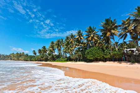 田园诗般的海滩。 斯里兰卡
