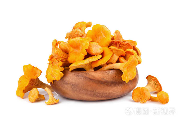 野生黄蘑菇图片百科大全，以及黄色野蘑菇种类图片对应的知识点