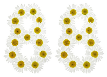阿拉伯数字 88, 八十八, 白色花菊花