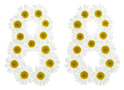 阿拉伯数字8 八 从菊花的花 孤立照片 正版商用图片03bsh0 摄图新视界 阿拉伯数字8 八 从菊花的花 孤立照片 正版商用图片03bsh0 摄图新视界
