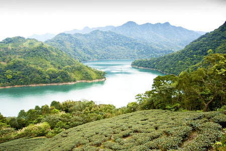 美丽的风景