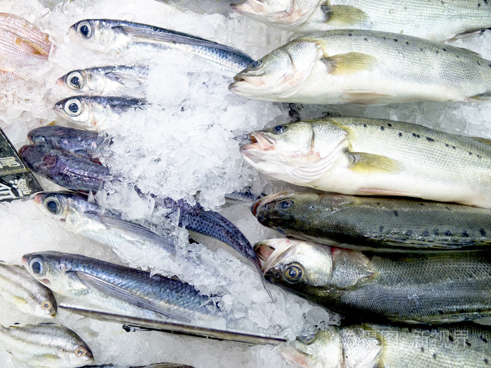 冰鲜鱼装饰出售