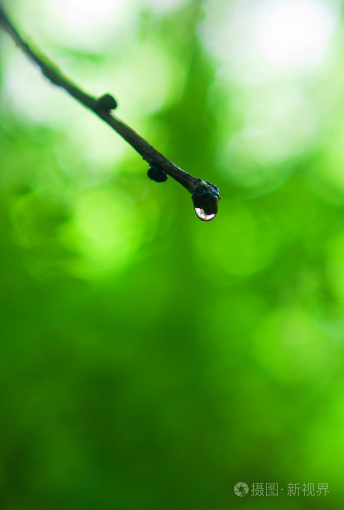 雨点唯美图片图片