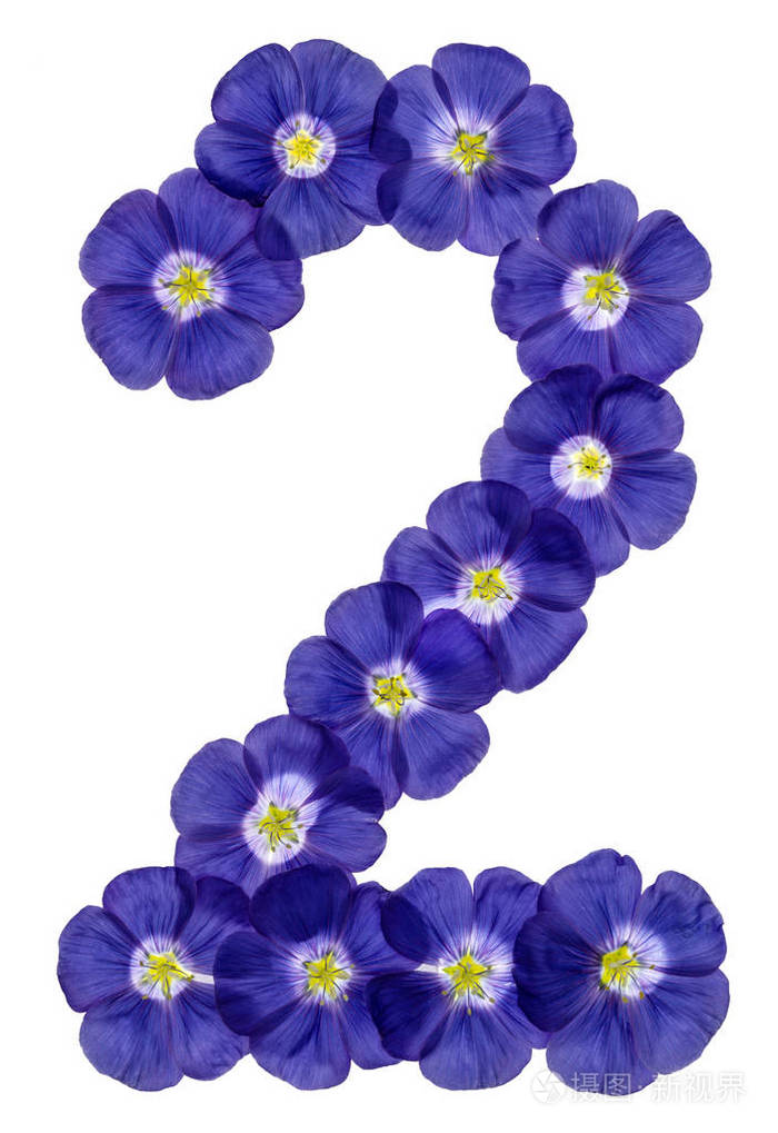 阿拉伯文数字2二从亚麻蓝色的花隔离在
