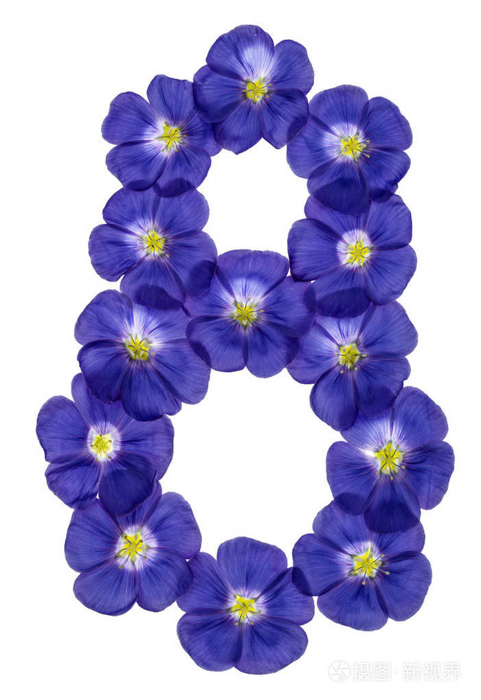 阿拉伯数字8八从亚麻蓝色的花朵孤立