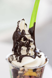 酸奶和巧克力冰淇淋