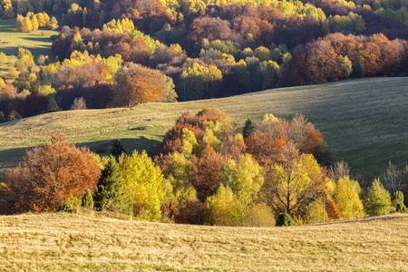 Bieszczady 山脉波兰喀尔巴阡山