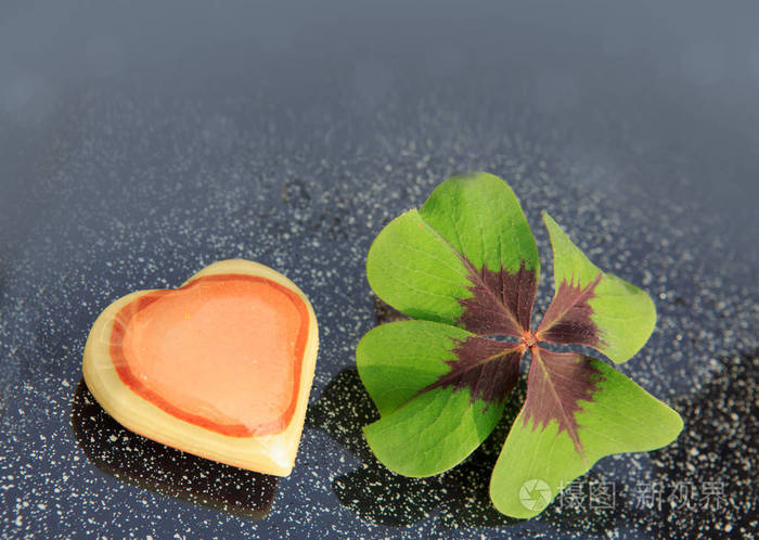 幸运新鲜绿色四片叶子的三叶草灰色背景照片-正版商用图片02shfw-摄图